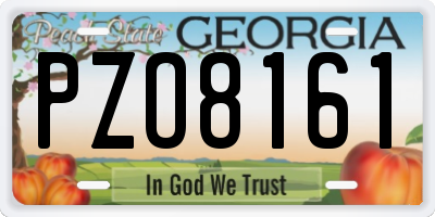 GA license plate PZO8161