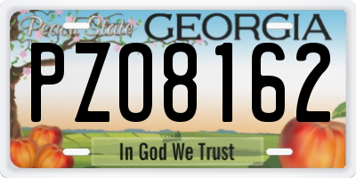 GA license plate PZO8162