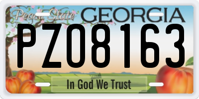 GA license plate PZO8163