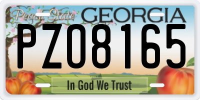 GA license plate PZO8165