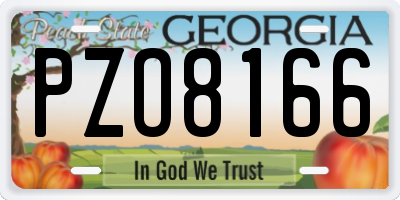 GA license plate PZO8166