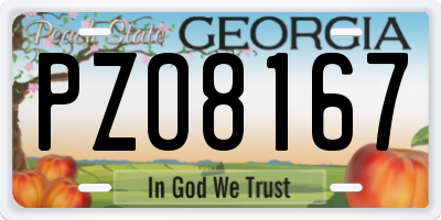 GA license plate PZO8167