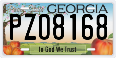 GA license plate PZO8168