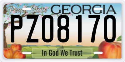 GA license plate PZO8170