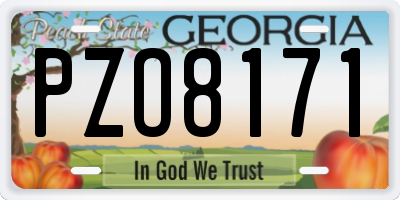 GA license plate PZO8171