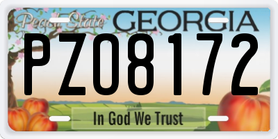 GA license plate PZO8172