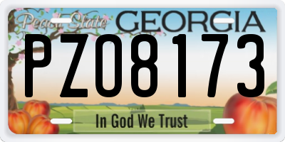 GA license plate PZO8173