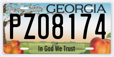 GA license plate PZO8174