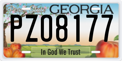 GA license plate PZO8177