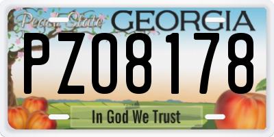 GA license plate PZO8178