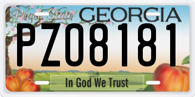 GA license plate PZO8181