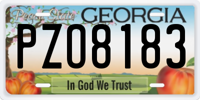 GA license plate PZO8183