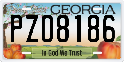 GA license plate PZO8186