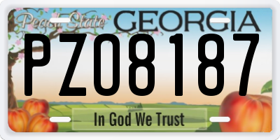 GA license plate PZO8187