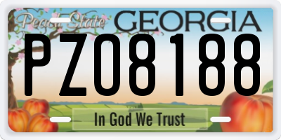 GA license plate PZO8188