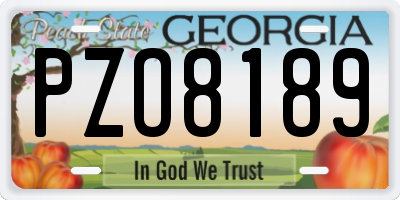 GA license plate PZO8189