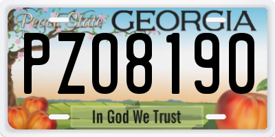 GA license plate PZO8190