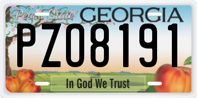 GA license plate PZO8191