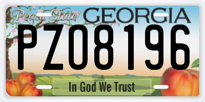 GA license plate PZO8196