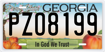 GA license plate PZO8199