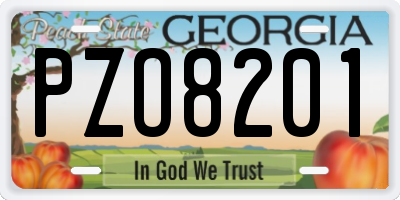 GA license plate PZO8201