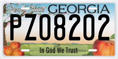 GA license plate PZO8202