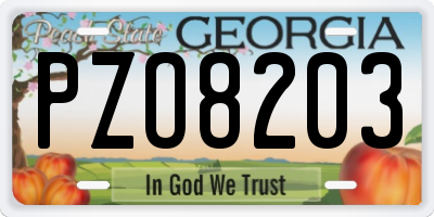 GA license plate PZO8203