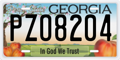 GA license plate PZO8204