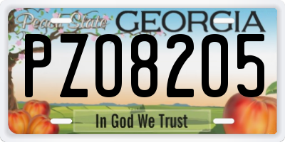 GA license plate PZO8205