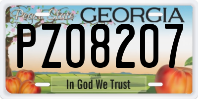 GA license plate PZO8207