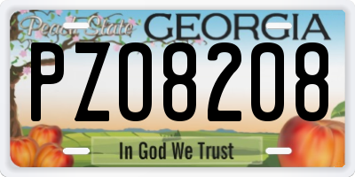 GA license plate PZO8208