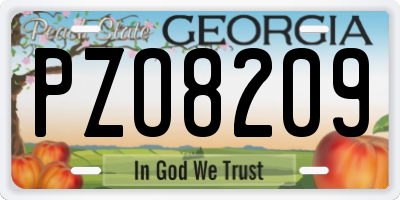 GA license plate PZO8209