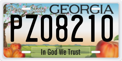 GA license plate PZO8210