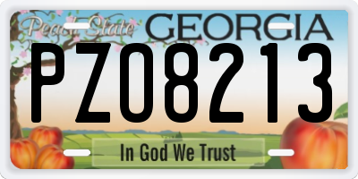 GA license plate PZO8213