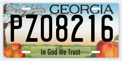 GA license plate PZO8216