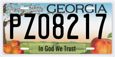 GA license plate PZO8217