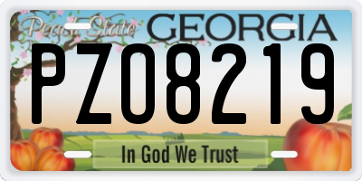 GA license plate PZO8219