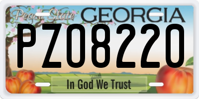 GA license plate PZO8220