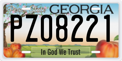 GA license plate PZO8221