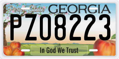 GA license plate PZO8223