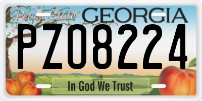 GA license plate PZO8224