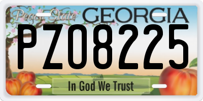 GA license plate PZO8225