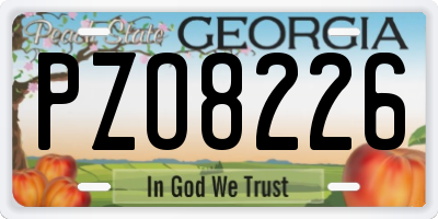 GA license plate PZO8226