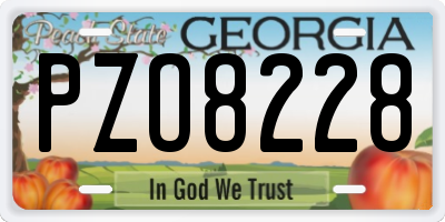 GA license plate PZO8228