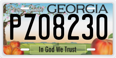 GA license plate PZO8230