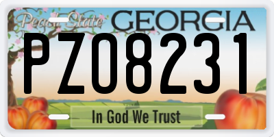 GA license plate PZO8231