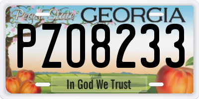 GA license plate PZO8233