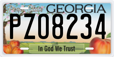 GA license plate PZO8234