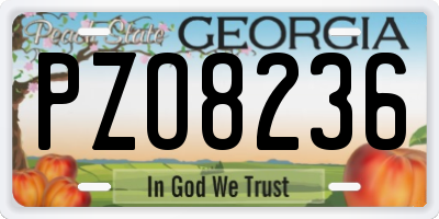 GA license plate PZO8236