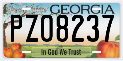 GA license plate PZO8237